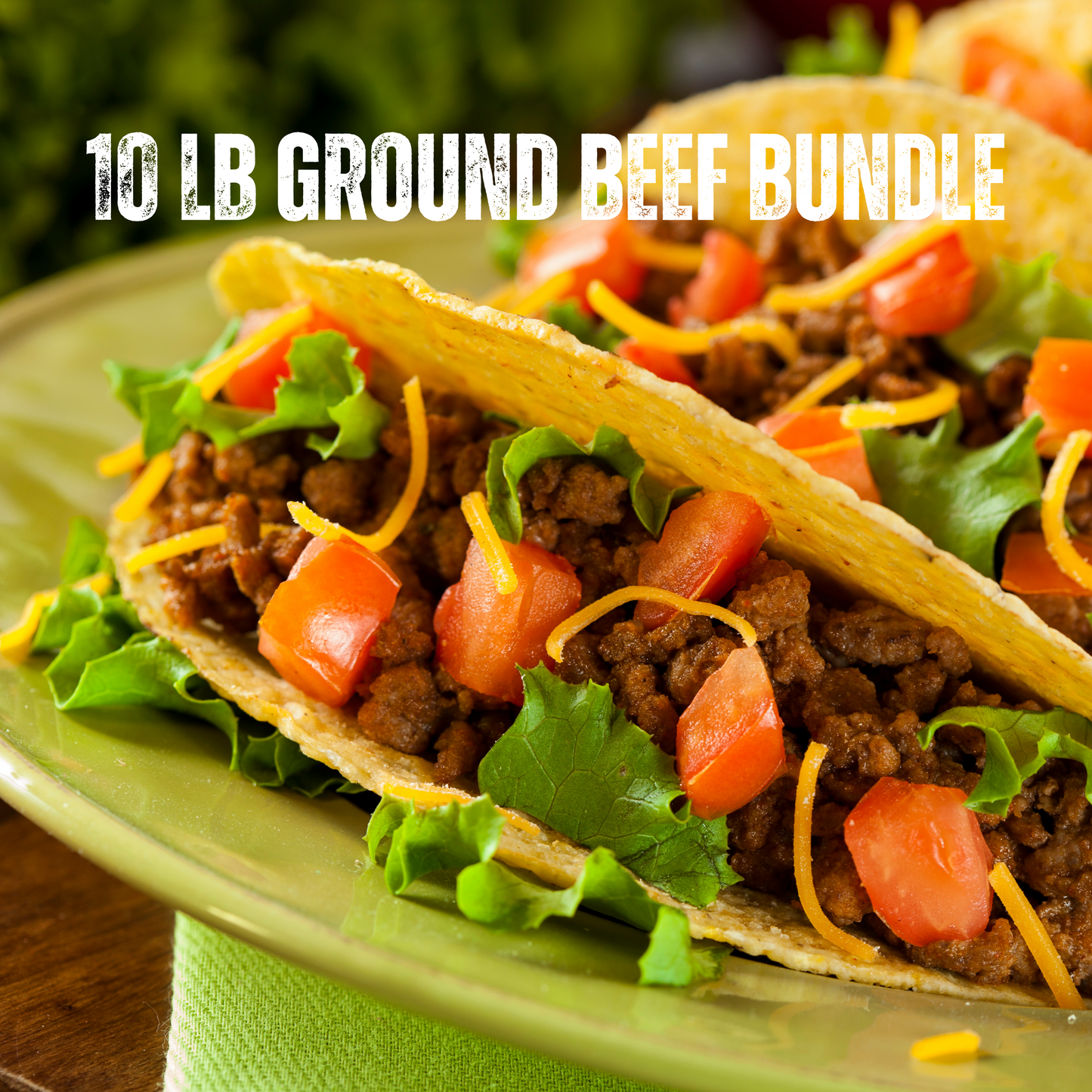 10lb Ground Beef Bundle