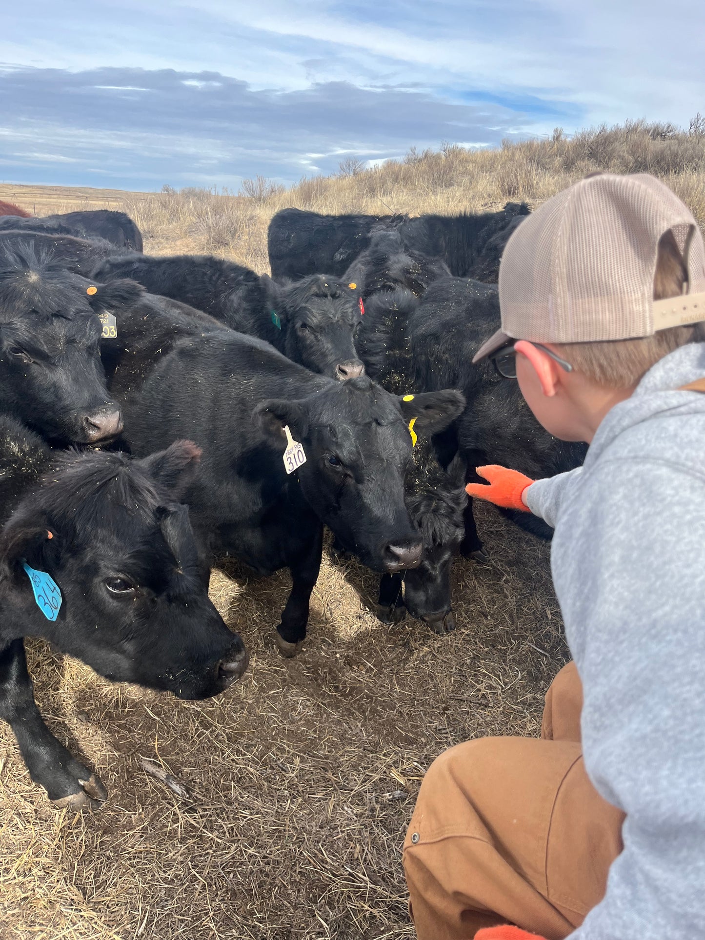 1/4 Beef Bundle Deposit