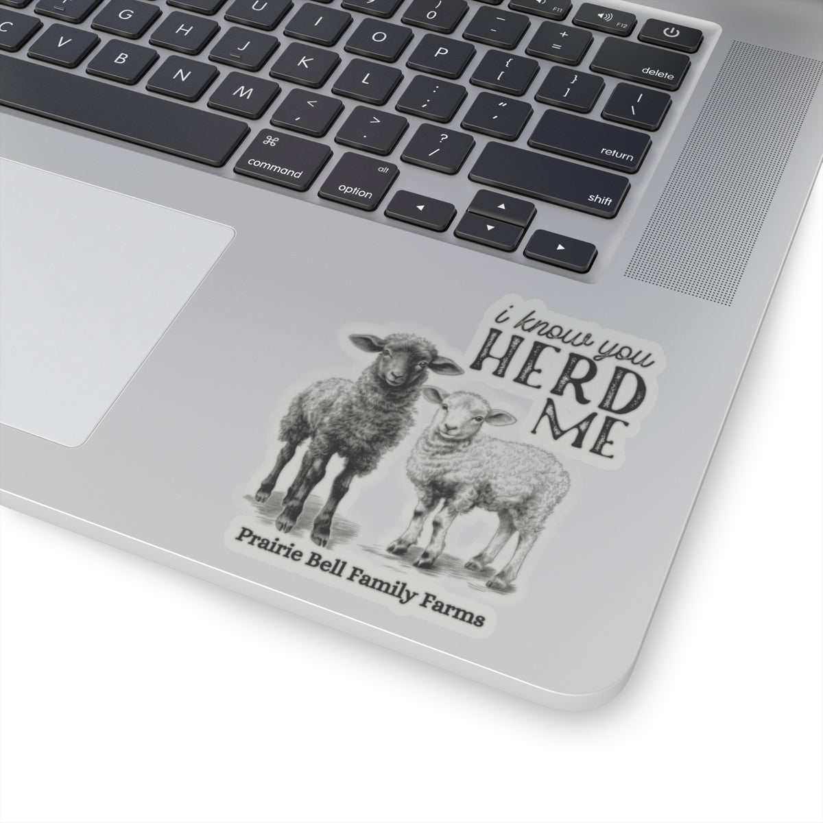 Sheep Sticker