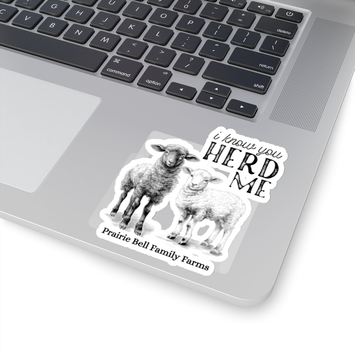 Sheep Sticker